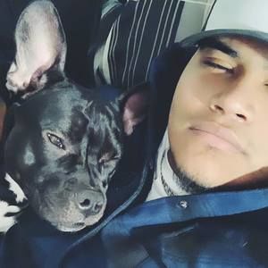 Meet your Posher, Dorian